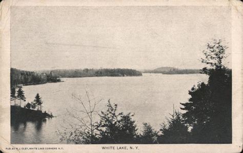 View of White Lake New York Postcard