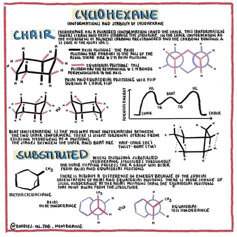 Cyclohexane To Chair Conformation 10 Pictures - modernchairs