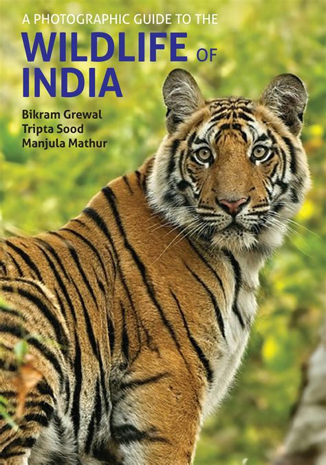 Photographic Guide to the Wildlife of India - John Beaufoy Publishing