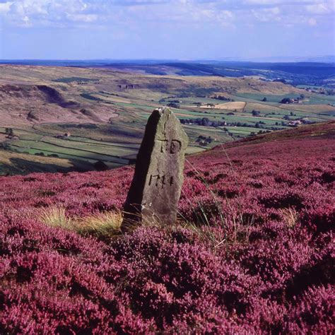 YUEN-yuen: 9月11日，我在North York Moors National Park