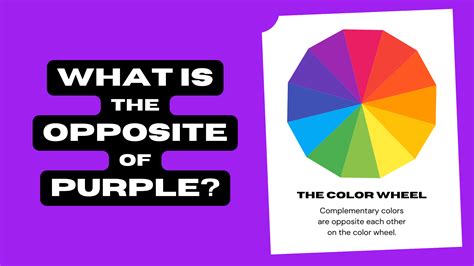 What Is the Opposite of Purple? (Complementary Color) | Color Meanings