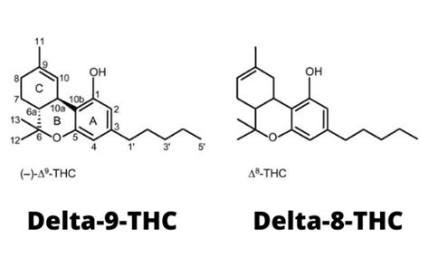 what the difference between delta 8 and delta 9