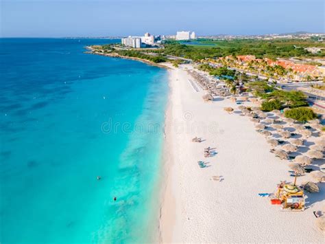 Eagle Beach Aruba, Palm Trees on the Shoreline of Eagle Beach in Aruba, Stock Photo - Image of ...