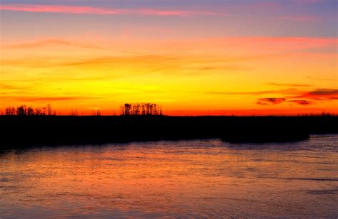 Bombay Hook National Wildlife Refuge | Stephen L Tabone Nature Photography