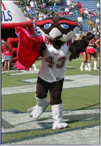 Pin on College Mascots: C-USA