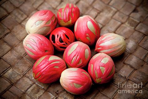 Nutmeg Mace Spice Indian Cuisine Photograph by Kevin Miller | Fine Art America