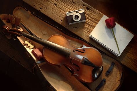 Violin in a case Jigsaw Puzzle (Stuff, Tools) | Puzzle Garage