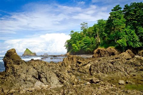 Hiking Corcovado National Park: A Wildlife Adventure • Expert Vagabond