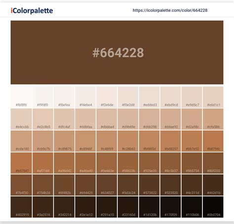 Van Dyke Brown information | Hsl | Rgb | Pantone