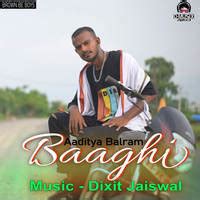 Baaghi Song Download: Play & Listen Baaghi all MP3 Song @Gaana