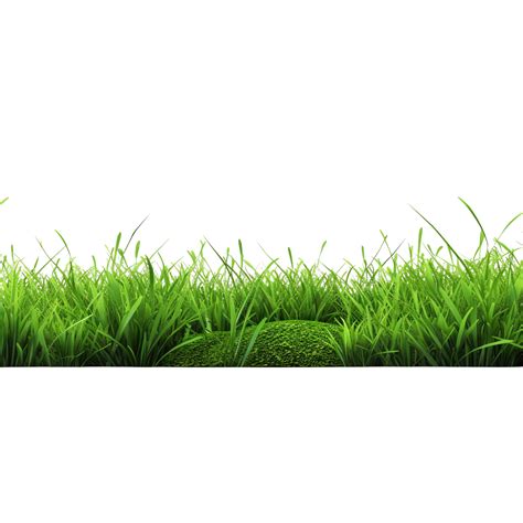 AI generated Green grass field clip art 40218819 PNG