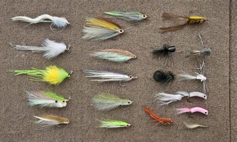 Fly Fishing Bass: Take Advantage of Late-Winter Warming Trends - Fly Fishing | Gink and Gasoline ...