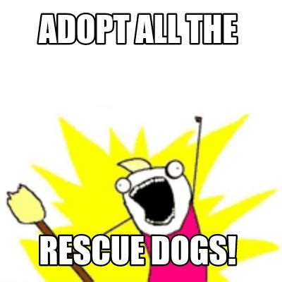 Meme Creator - Funny Adopt all the Rescue dogs! Meme Generator at ...