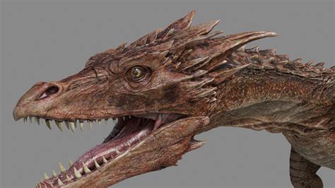 3D model Dragon-Maya-Animation VR / AR / low-poly rigged animated | CGTrader