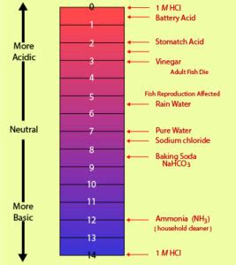 pH: Concepts, pH Indicators, Examples with Questions & Videos