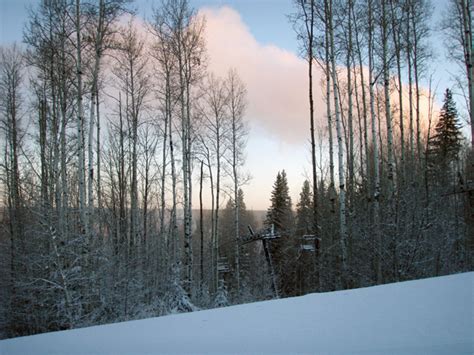 File:Fort mcmurray winter day.jpg - Wikimedia Commons