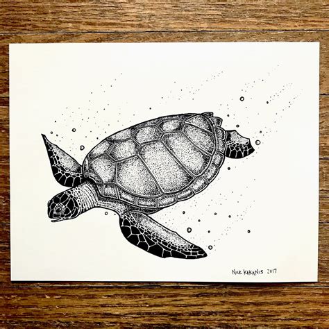 Honu - Fine Art Print – Nick's Drawings