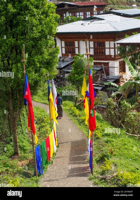 Prayer Flags in Bhutan Stock Photo - Alamy