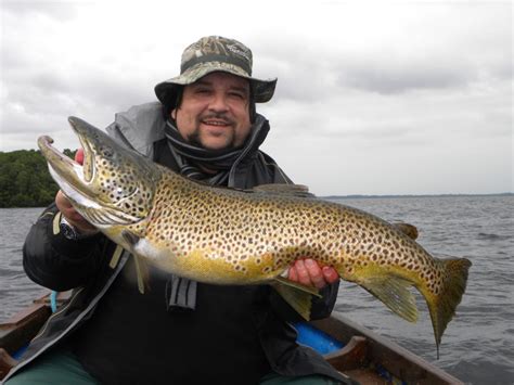 German Angling journalists catches a big ferox brown trout on his visit to Lough Corrib ...