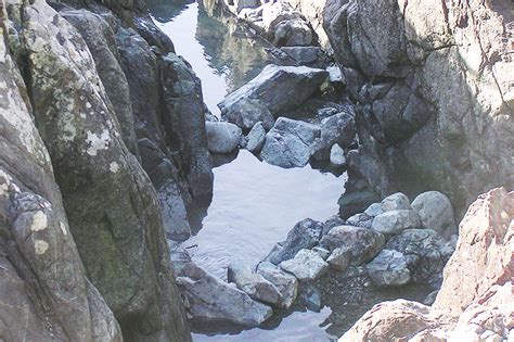 Tofino Hot Springs Pools | GoTofino.Com