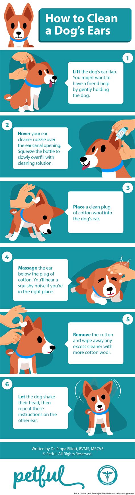 How To Clean Dog Ears Hydrogen Peroxide