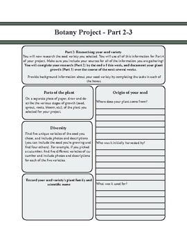 Botany Project by Prairie and Pine | TPT