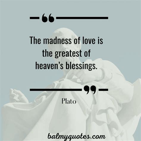 Stoicism Quotes On Love » Balmy Quotes