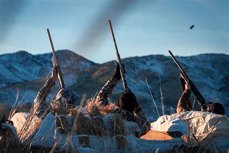 Goose Hunting: Kill Late-Season Public Land Canada Geese