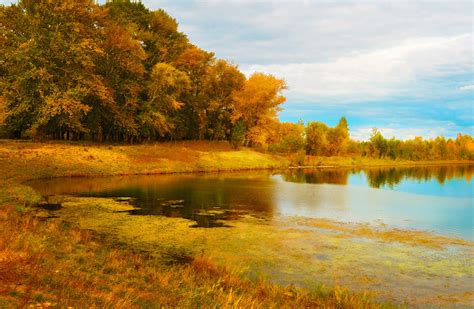 River Bank Free Stock Photo - Public Domain Pictures