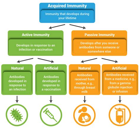 Acquired Immunity | NIH