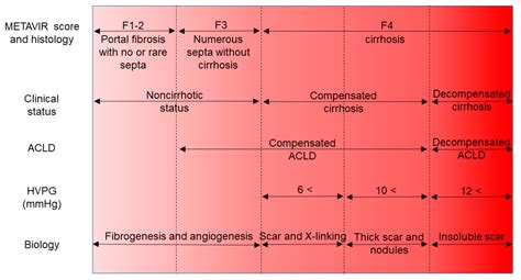 JCM | Free Full-Text | Serum Biomarkers of Liver Fibrosis Staging in the Era of the Concept ...