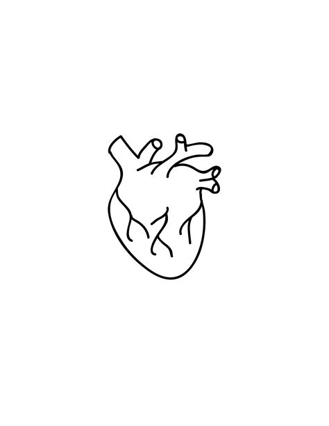 Free Easy Human Heart Drawing - Download in PDF, Illustrator, EPS, SVG ...