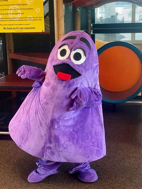 Grimace Costume McDonald’s Halloween | Diy halloween costumes, Family ...