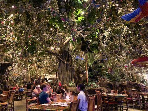 Rainforest Cafe at Disney’s Animal Kingdom: It’s What You Think | TouringPlans.com Blog