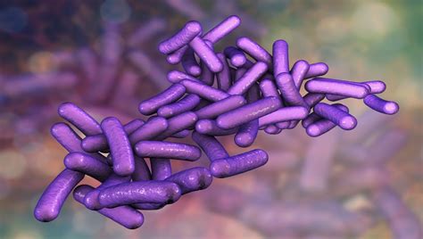 EU and UK record travel-related Shigella infections | Food Safety News