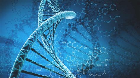 An Overview of the Human Genome Project | THE OFFICIAL ANDREASCY | News to the core