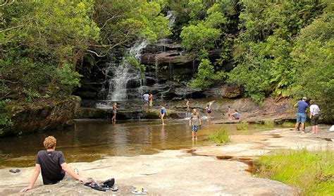 Somersby Falls picnic area | NSW National Parks