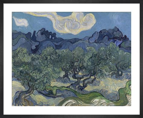 The Olive Trees, 1889 Art Print by Vincent Van Gogh | King & McGaw