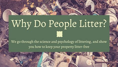 Why Is Litter Bad? - The Causes & Prevention - Garbage Fix