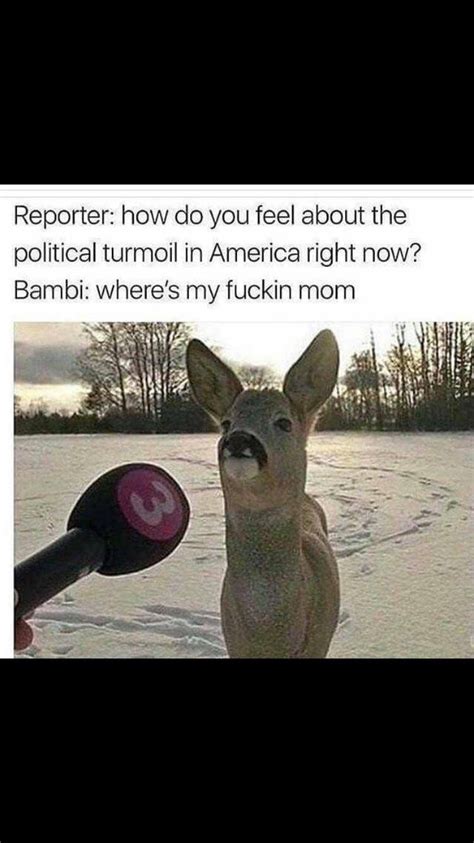 Bambi - Meme Guy