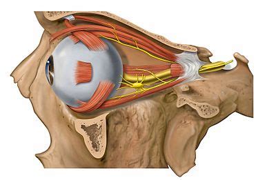 Eye Muscle Surgery| Strabismus Surgery | Recovery | Cost