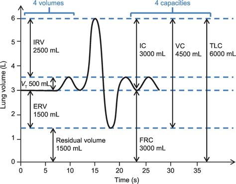 Chapter 12 – Static Lung Volumes | Anesthesia Key