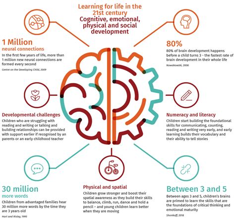 Neuroscience and the brain