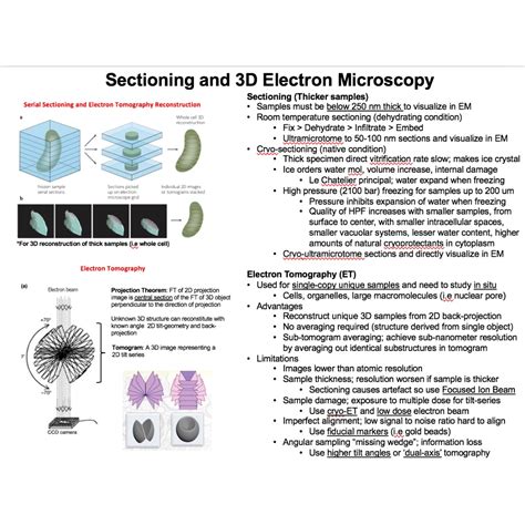 BS3021 - BIOIMAGING TECHNIQUES IN ELECTRON MICROSCOPY [Summary Notes ...