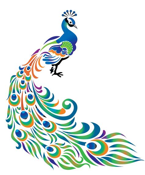 Peacock Drawing | Free download on ClipArtMag