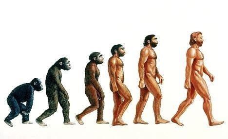 evolution of man famous drawing - Google Search | Theory of evolution ...