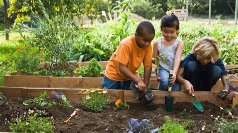 8 Essential Tools You Need to Start Gardening Now