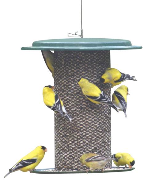 Green Safflower Feeder - Contemporary - Bird Feeders - by Birds Choice ...