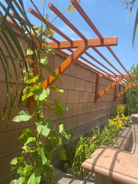 Grape Trellis | Grape trellis, Garden trellis designs, Trellis plants