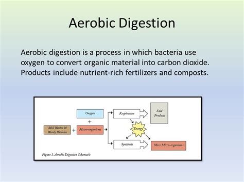 Woody Biomass Overview. Energy Demand Worldwide demand for fossil fuels projected to increase ...